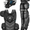 Easton Jen Schro The Very Best A165438 Adult Fastpitch Softball Catchers Gear Set -Baseball Discount Store easton jen schro the very best a165438 adult fastpitch softball catchers gear set 8