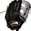 13 Inch Miken Pro Series Adult Slowpitch Softball Glove PRO130-BWG -Baseball Discount Store miken pro series 13 inch adult slowpitch softball glove pro130bwg 9